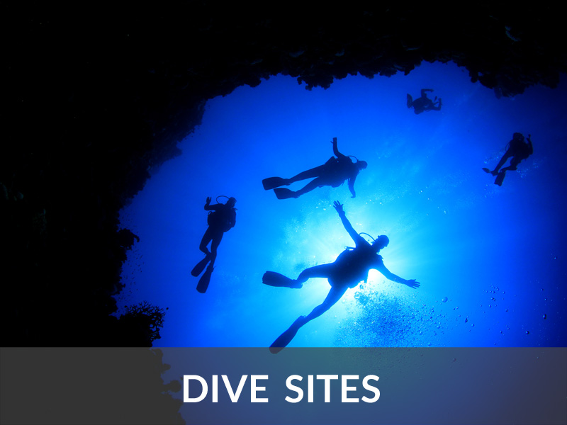 Dive Sites | DIVE LOFT KRK | Croatia