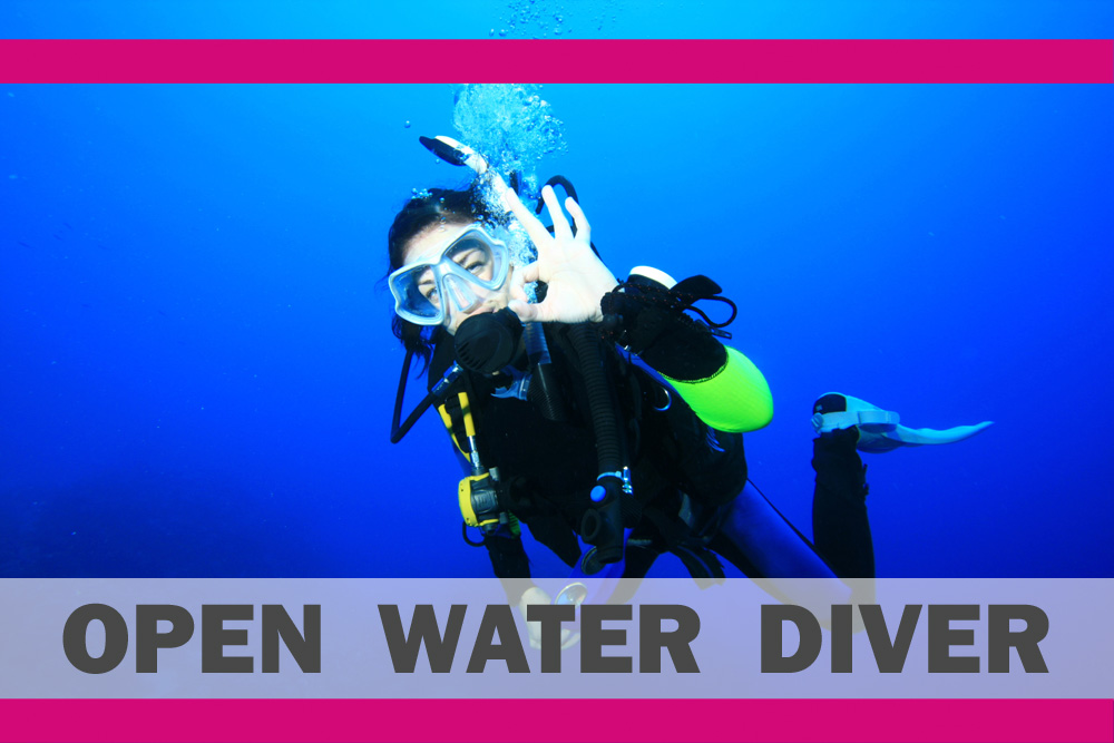€ 15,00 Voucher | IAC OWD Beginners Diving Course